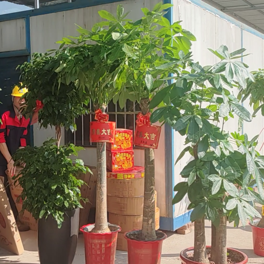 以激情鑄就夢想宏圖，靠拼搏成就事業泰山，宏泰制造的開業慶典！